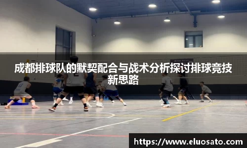 成都排球队的默契配合与战术分析探讨排球竞技新思路