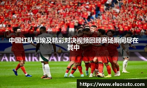 BoB半岛·体育中国官方网站